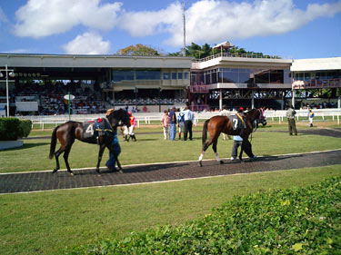 Barbados-Racetrack